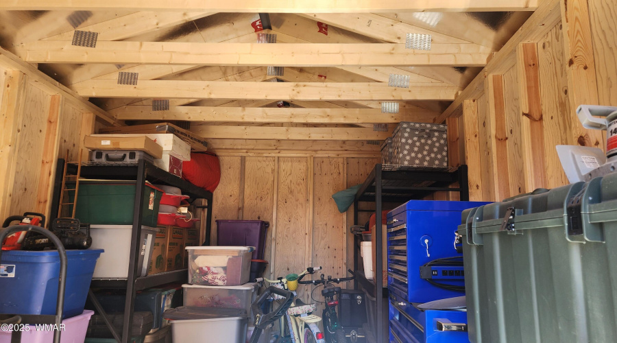 TRACEE REYNOLDS (51)