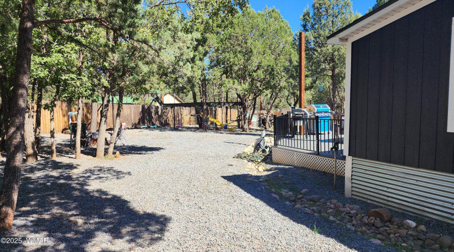 TRACEE REYNOLDS (52)