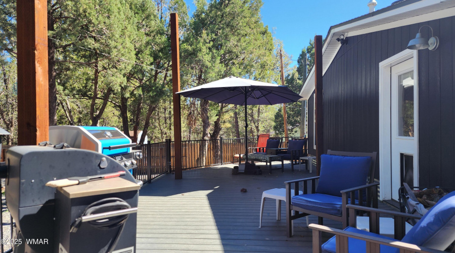 TRACEE REYNOLDS (53)