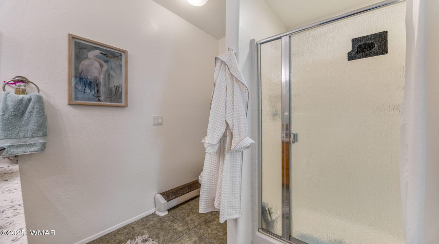 Walk in shower in guest bath