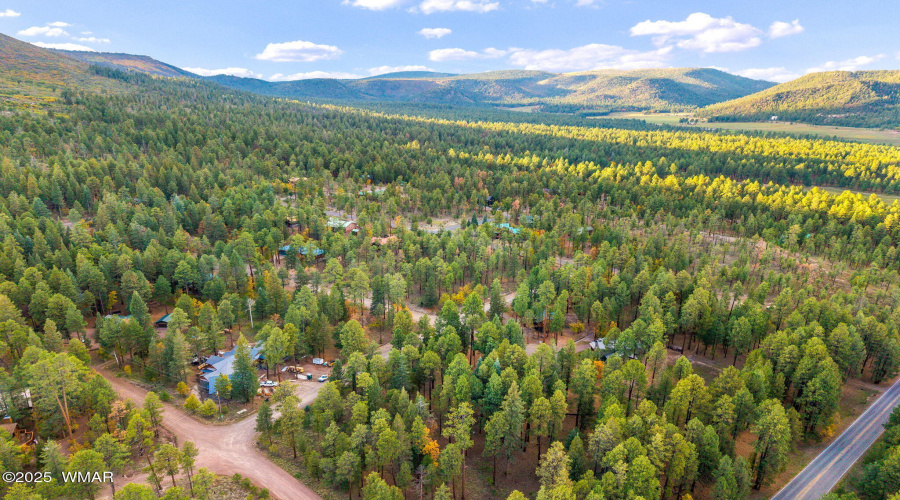 Parcel10172073-AlpineAZ-3