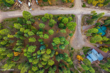 Parcel10172073-AlpineAZ-5