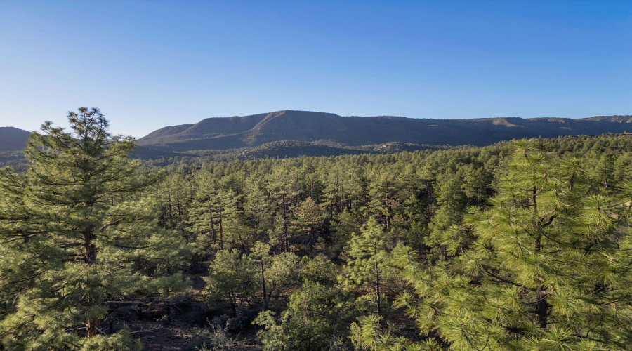 53-web-or-mls-TimberCreekImagery-1