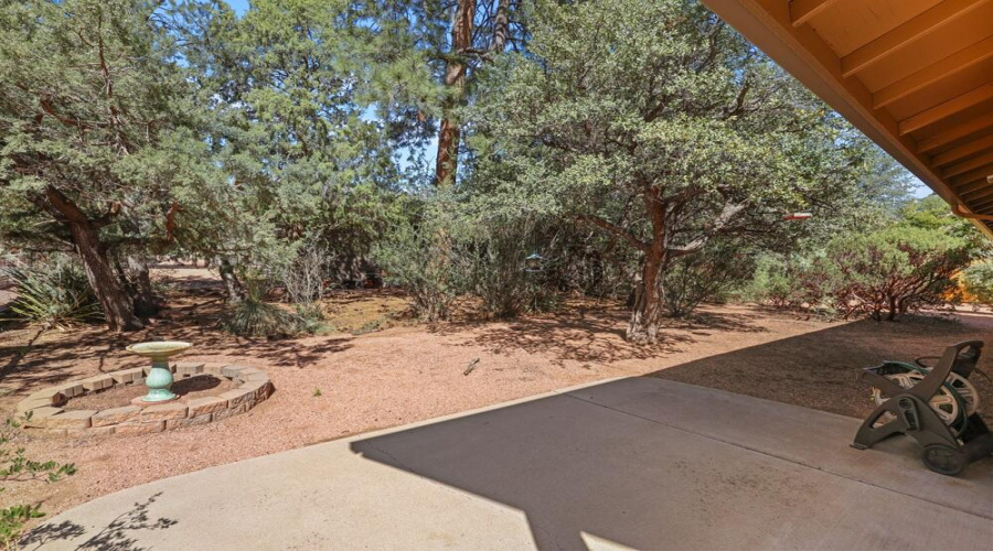 Back Patio (1)