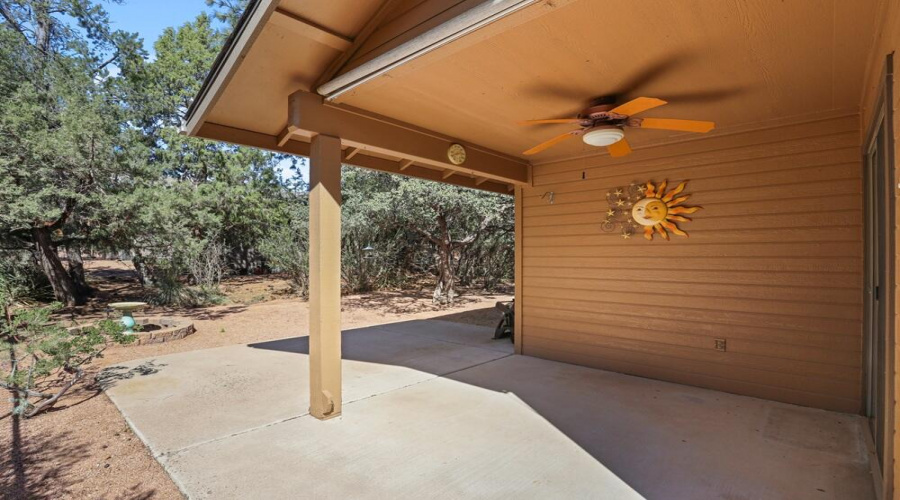 Back Patio (2)