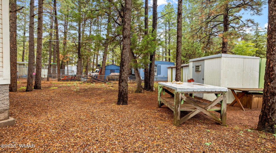 5107WoodlandPkwy-Lakeside-AZ-23