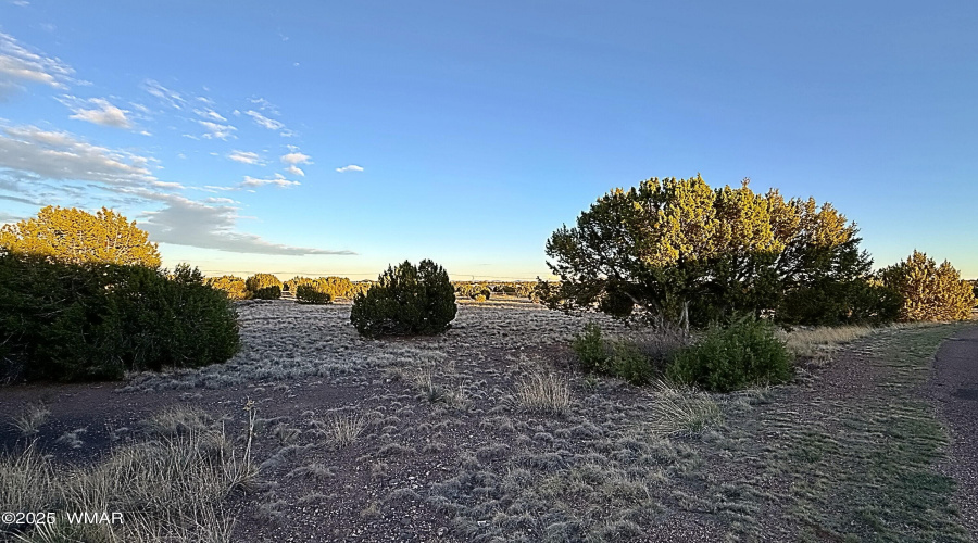 Half-Acre+