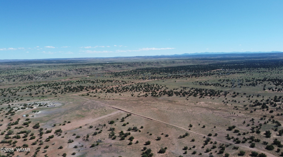 DJI_0645