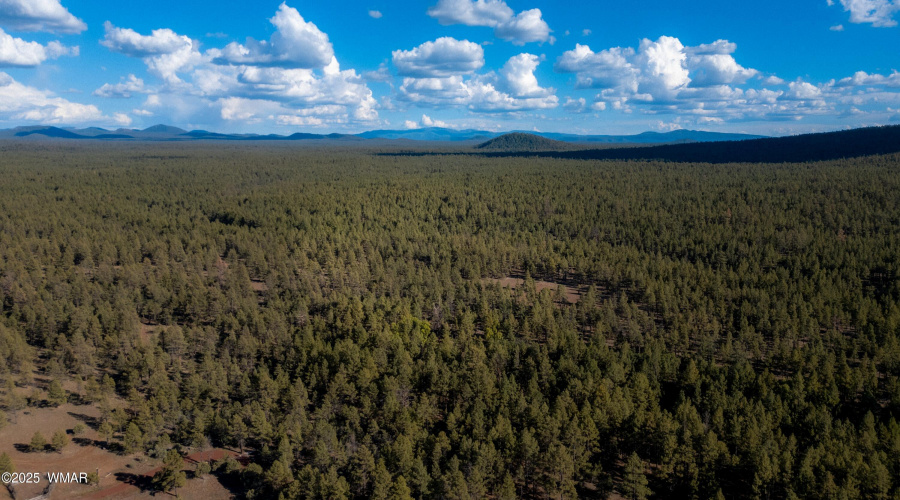DJI_0325