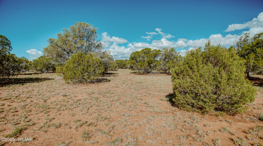 009A7918_HDR