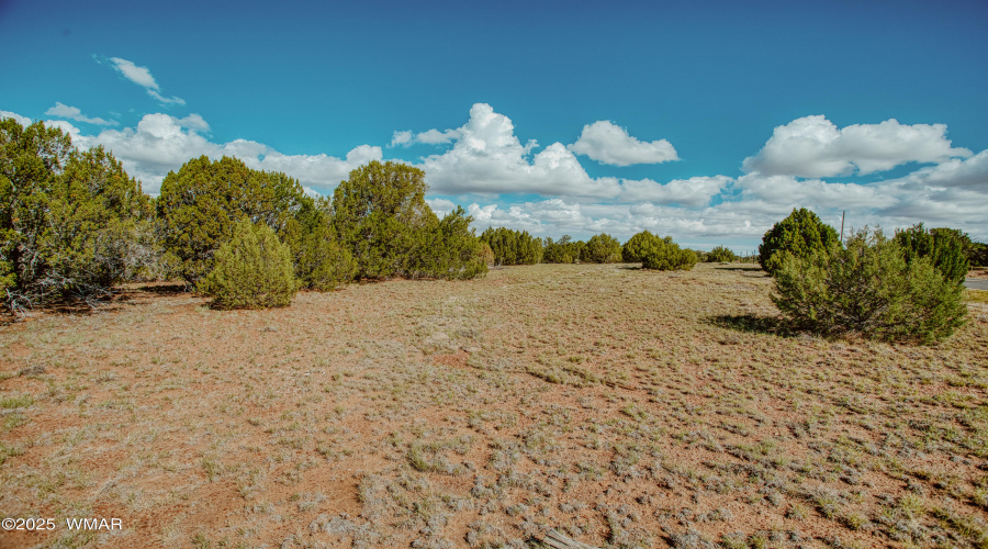 009A7921_HDR