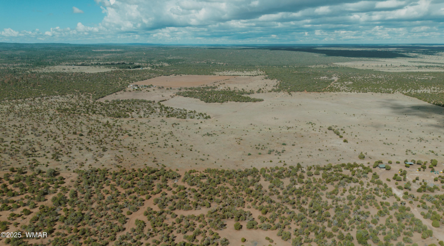 DJI_0369