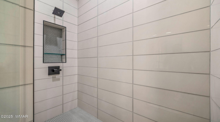Lower Level Bathroom shower