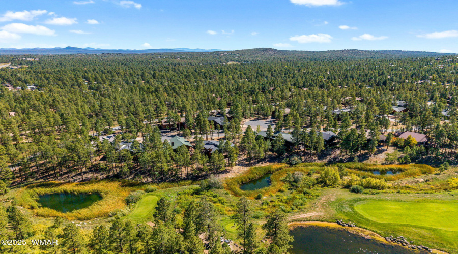 White Mountain Living