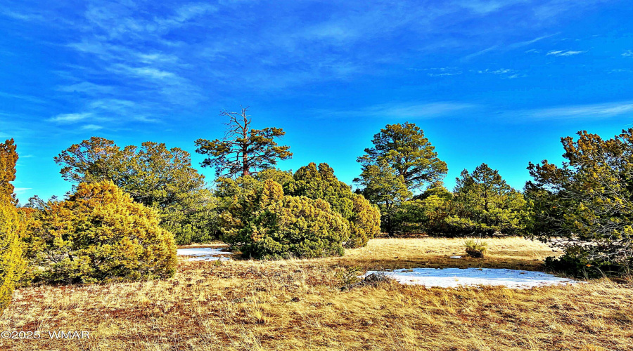 Beautiful, peaceful acreage