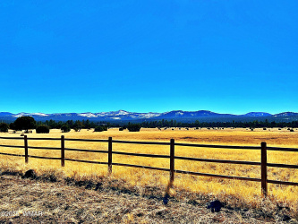 18 beautiful acres in Vernon, AZ