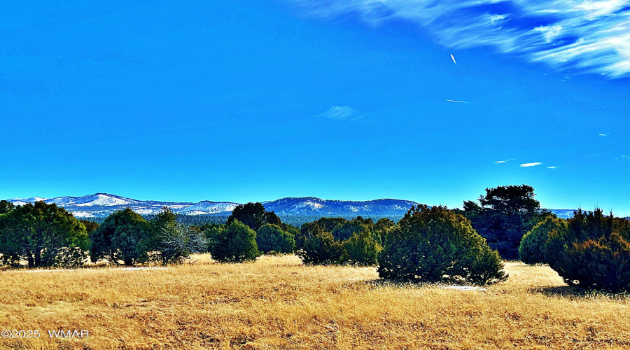 28 stunning acres for your dream home