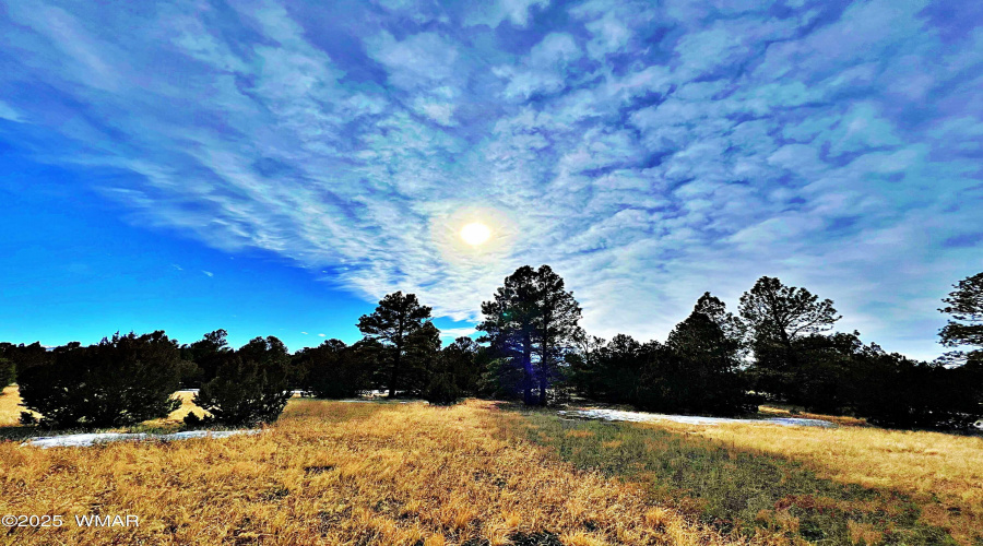 28 gorgeous acres in Vernon, AZ