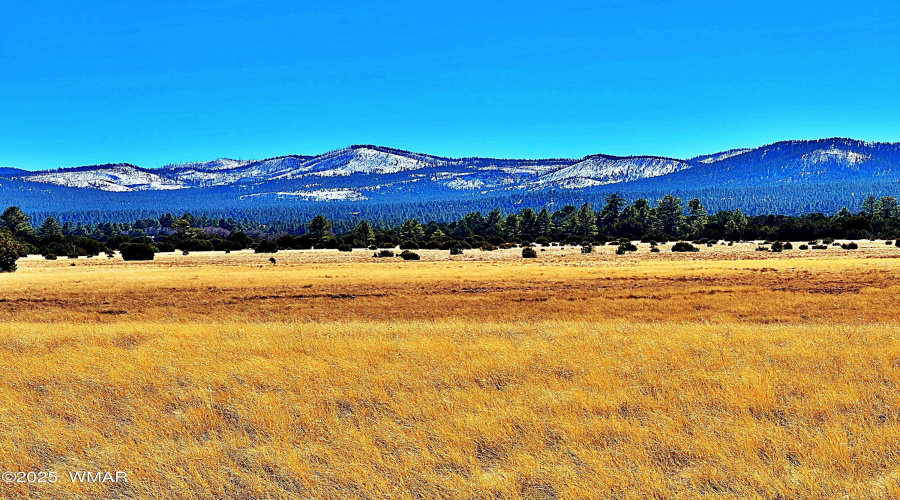 Panoramic views