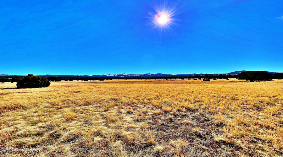 Meadows and treed acreage