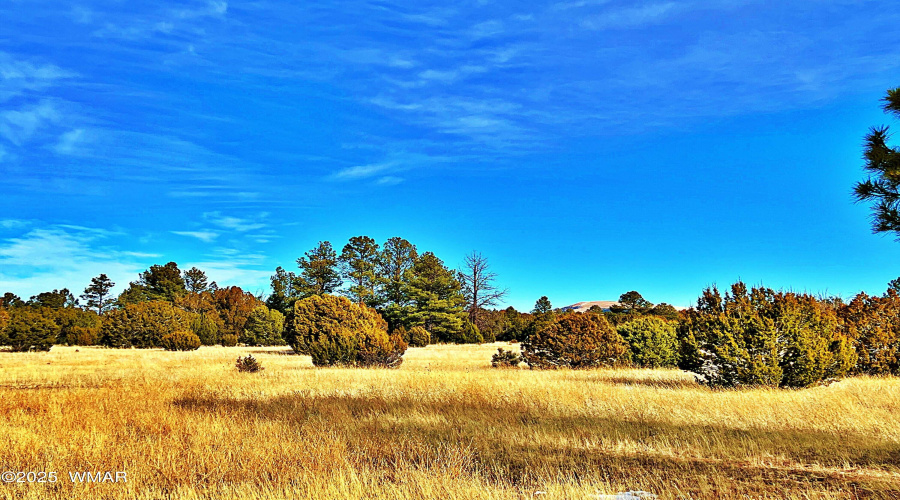33 beautiful acres for your dream home