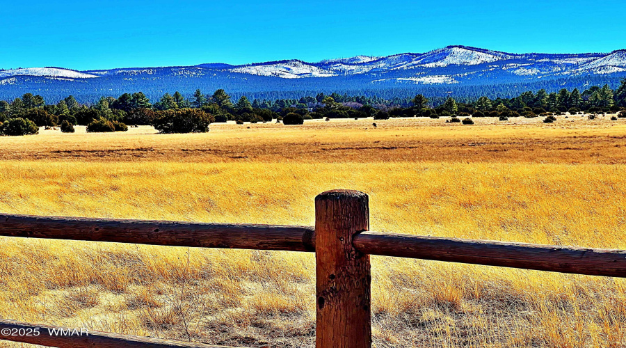 Meadows and treed acreage