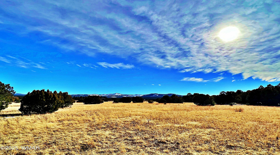 room for ATVs, UTVs, horses  and more