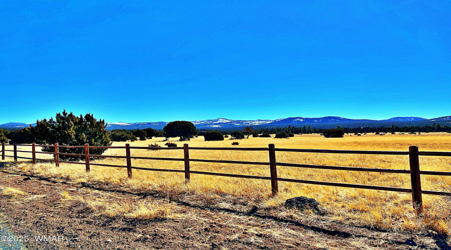 Meadows and treed acreage