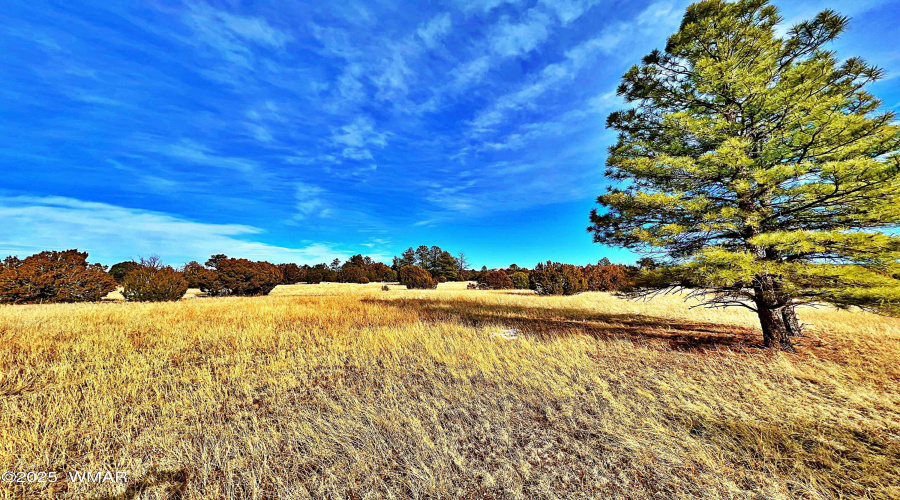 Unwind in the great outdoors