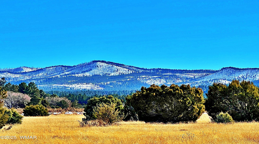 Beautiful mountian views