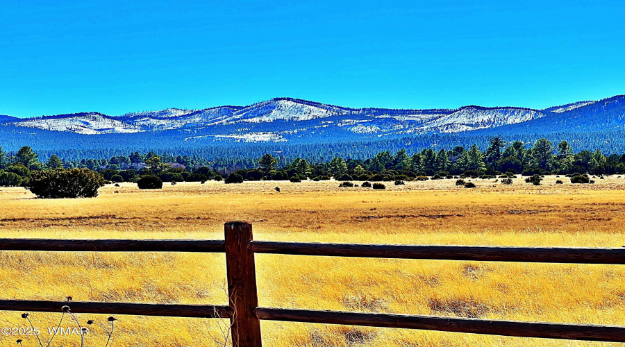 15 beautiful acres in Vernon, AZ