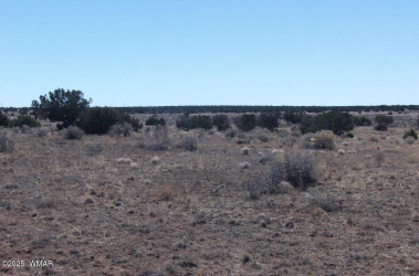 Vacant land for sale in Holbrook AZ