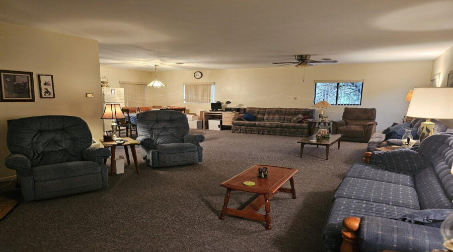 Pull out Couches