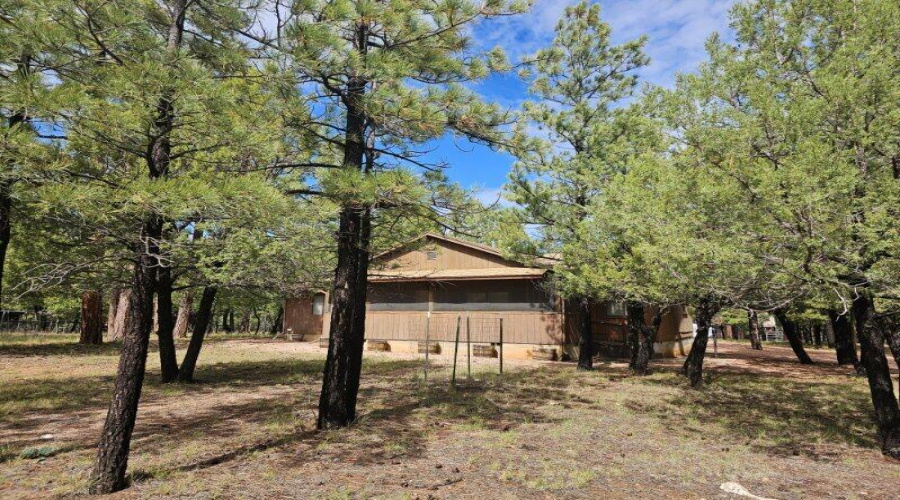 Nice Pines