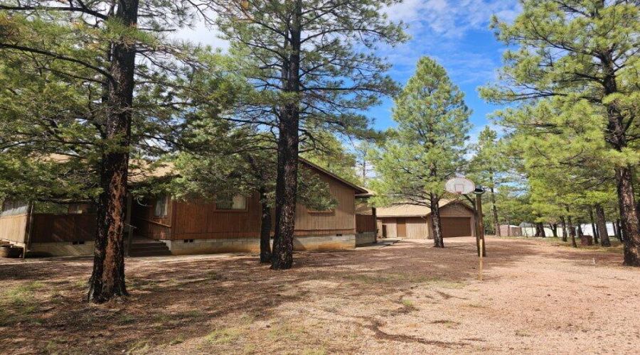 Possible AirBnB?