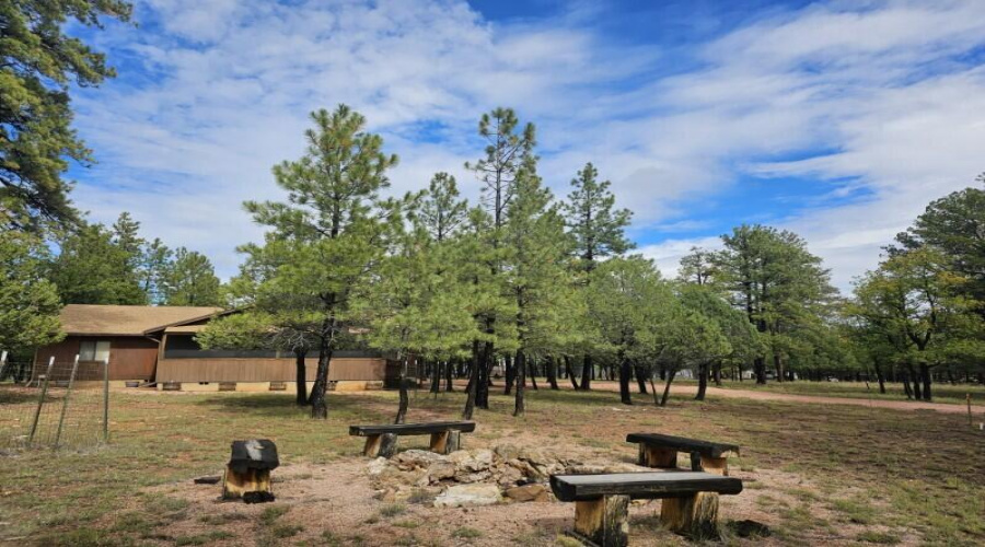 Fire Pit