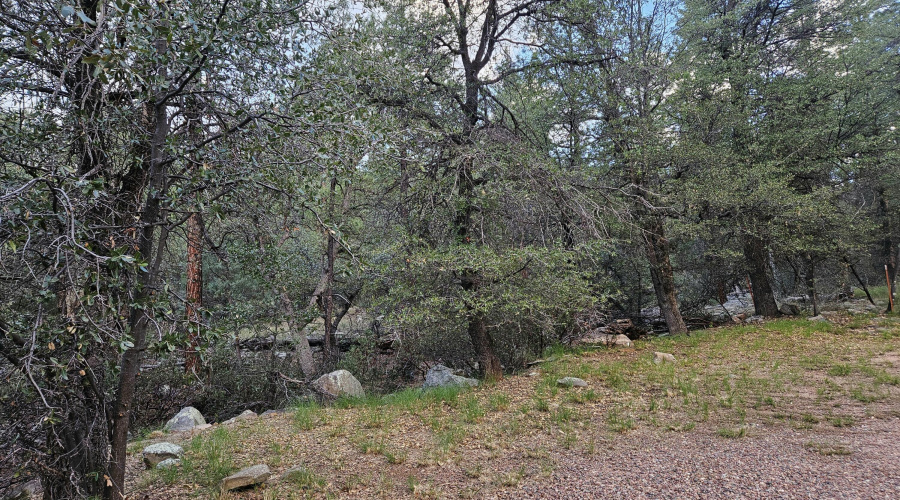 LOTS OF LAND & PARKING!