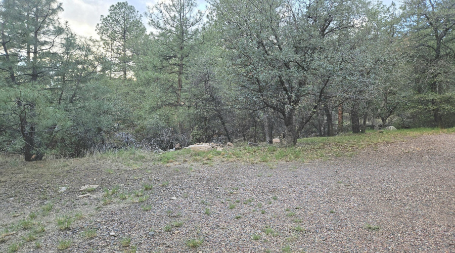 Surrounding Forested Property