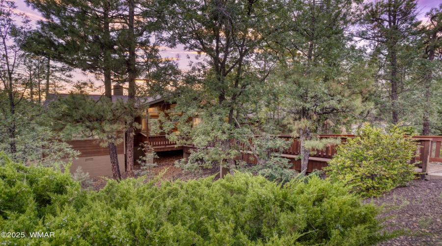 The Woods at Pinetop