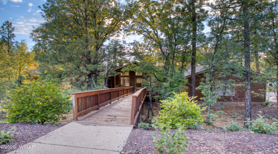 Your Cabin in the Woods!