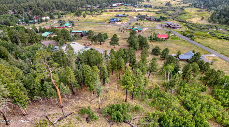 paxmanphotography-0941