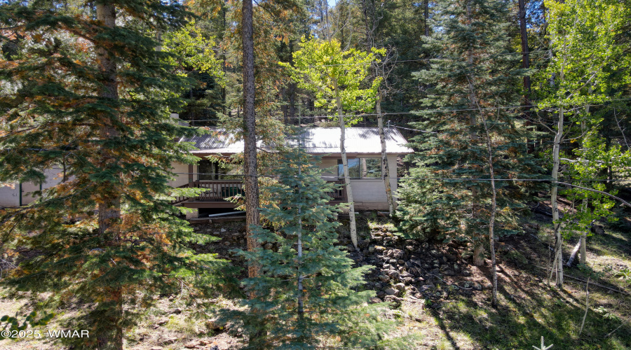 Paxmanphoto_DJI_0201