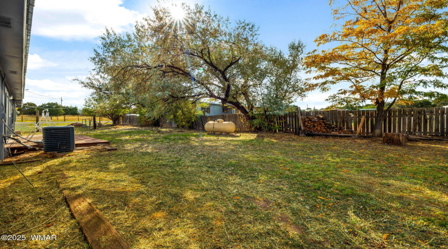 1095W7thLn-Eagar-AZ-31