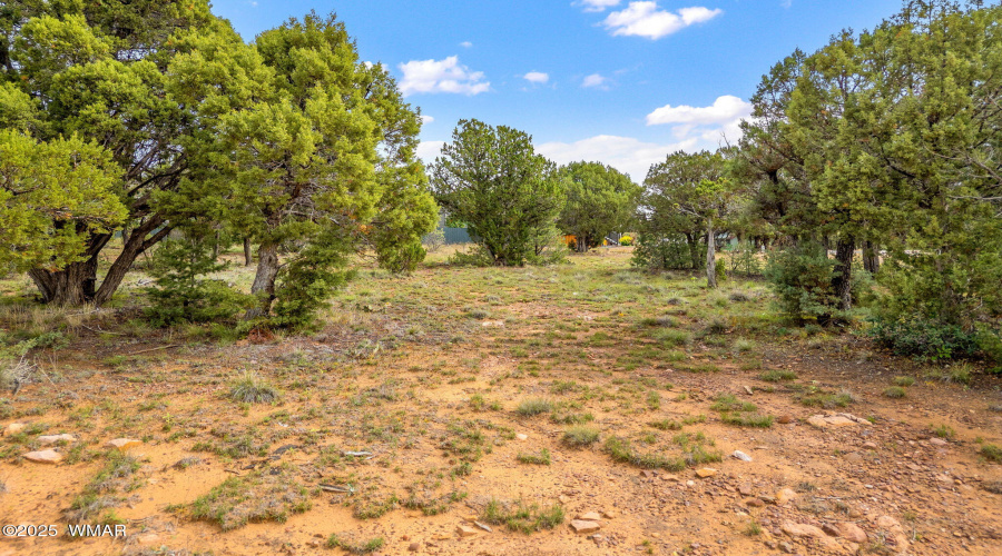1301FairwayLn-ShowLow-AZ-5