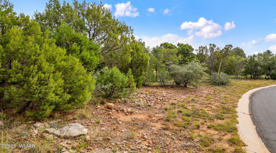 1301FairwayLn-ShowLow-AZ-3