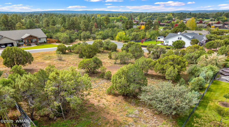 1301FairwayLn-ShowLow-AZ-2