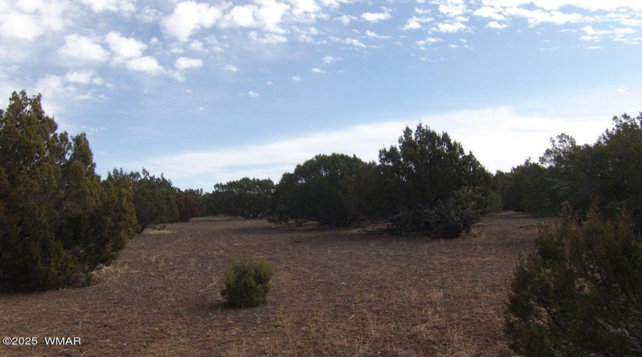 Vacant land for sale White Mountain Lake