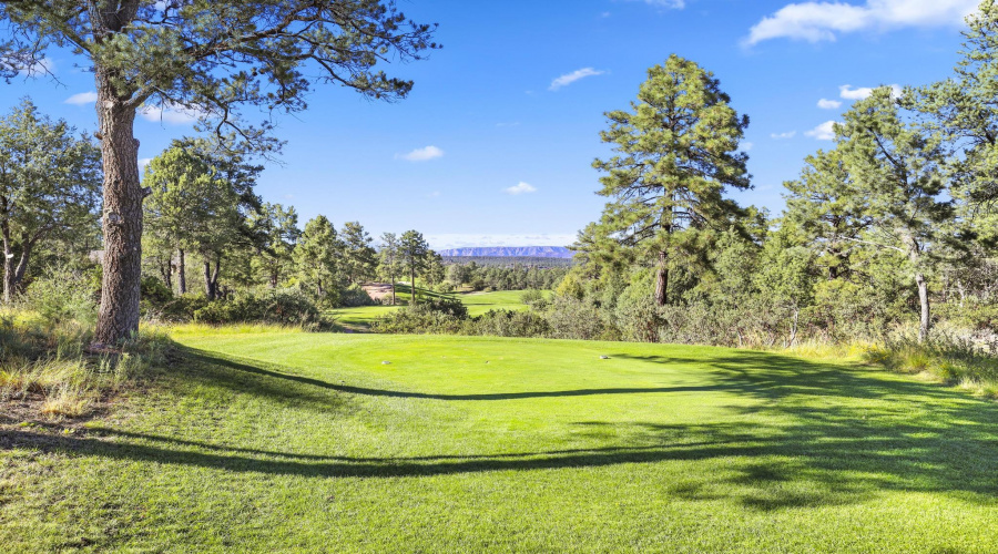 3rd Fairway