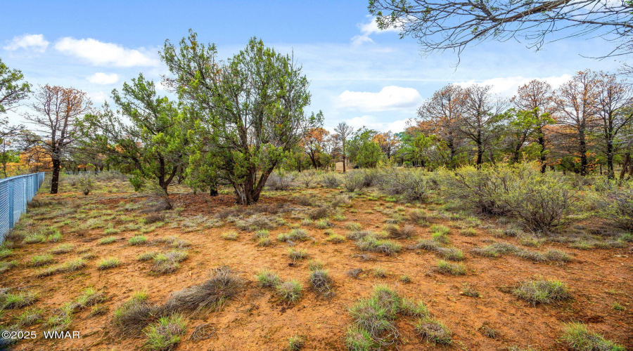 3154AspenRd-HeberOvergaard-AZ-35