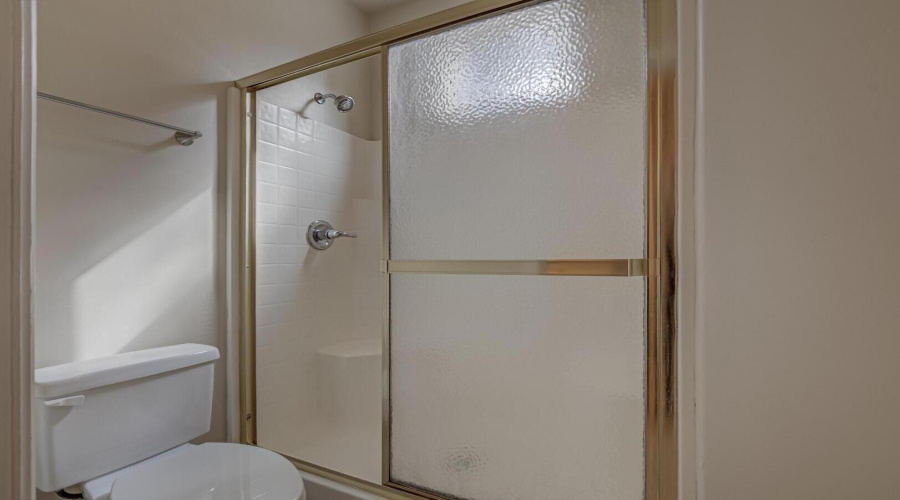 Hall bathroom shower